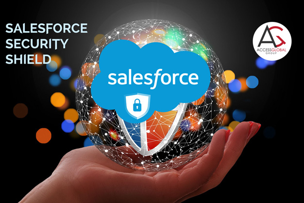 salesforce security shield-Access