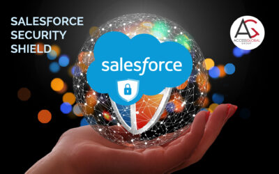 Salesforce Security Shield