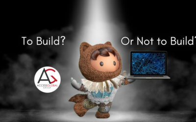 To Build or Not to Build? Banks and Building versus Buying Software